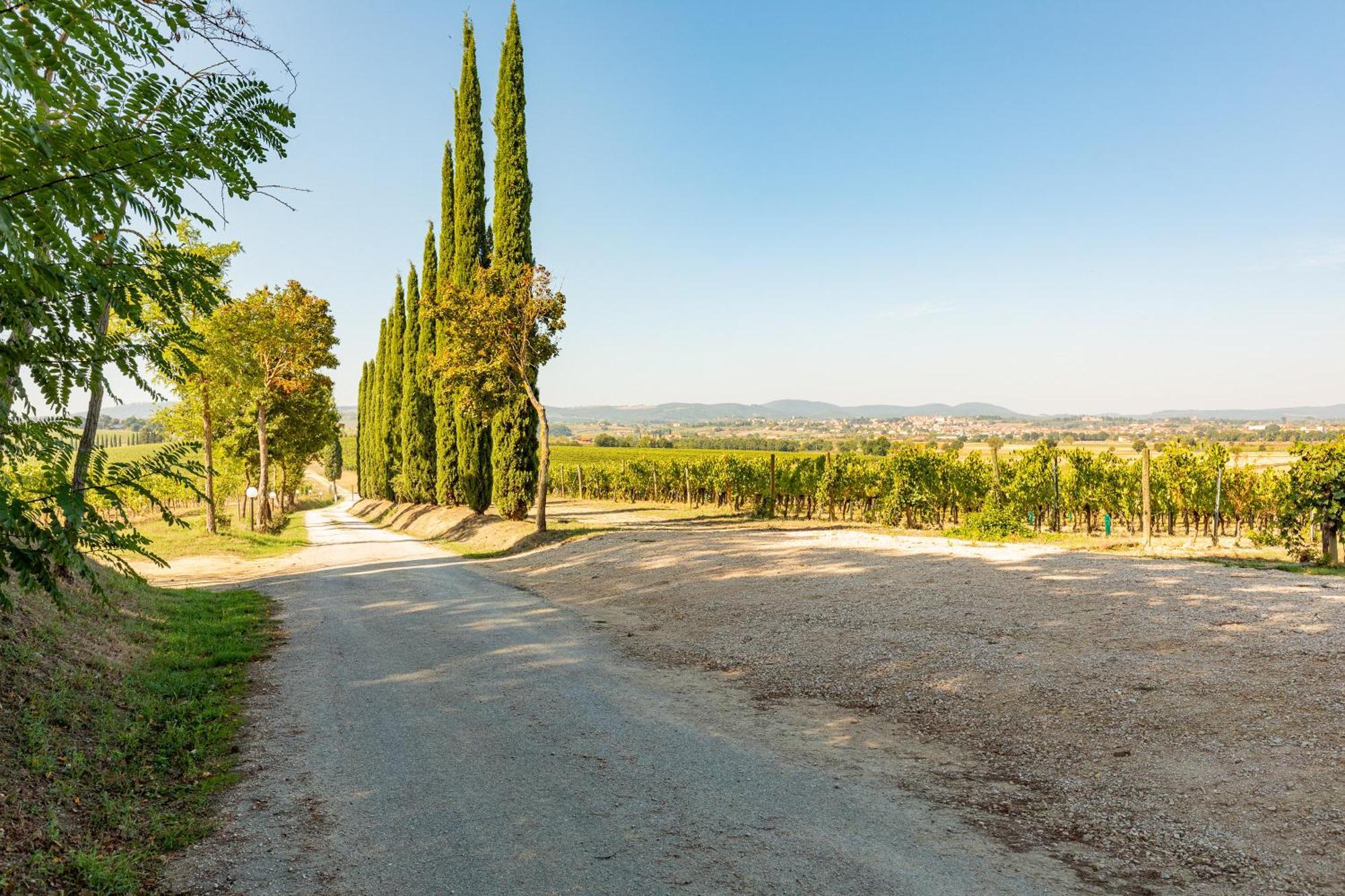 Villa Vermentino à Montepulciano Stazione Extérieur photo